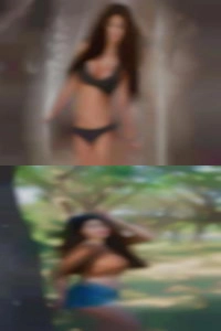 Bostonytheon1 Roaming Shores