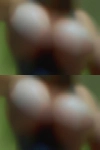 Girls looking dick