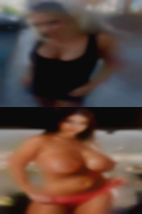 Tammiekirsch, , 